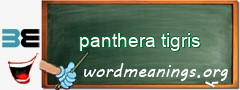 WordMeaning blackboard for panthera tigris